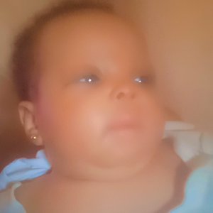 Marvelous Treasure Majesty-contestant